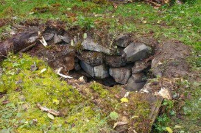 Musta sekarotuinen koira putosi ensiksi lahon kaivon kannen läpi Vimpelissä. Seuraavaksi pelastettavien joukkoon joutui koiraa noutamaan lähtenyt lähes 70-vuotias mies.