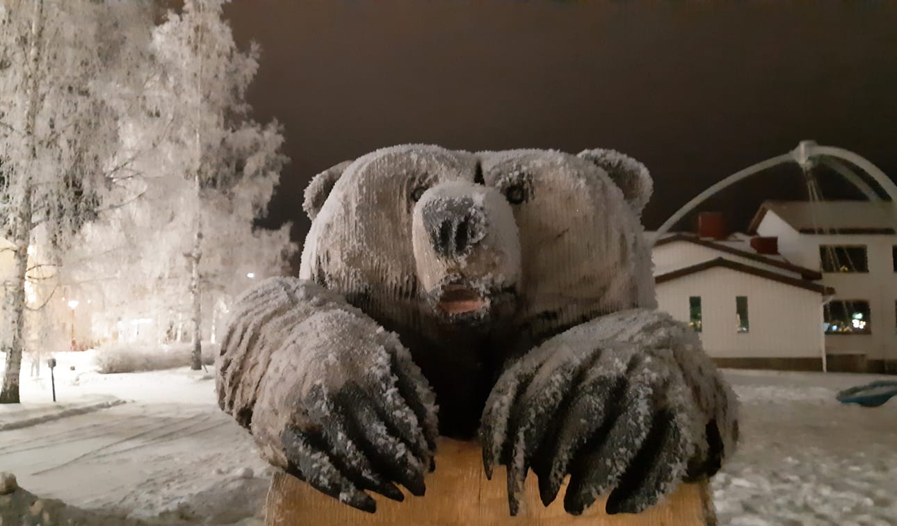Mistä löytyy tällainen nallekarhu?