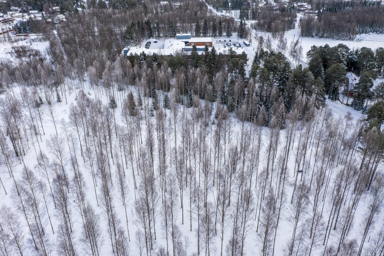 Pateniemen sahayhdyskunnan kylkeen suunnitellaan asuinaluetta, mikä verottaisi kaunista koivikkoa. Kaavahanke viivästyi maanantaina, kun kaupunginvaltuusto palautti asian kaupunginhallitukseen.
