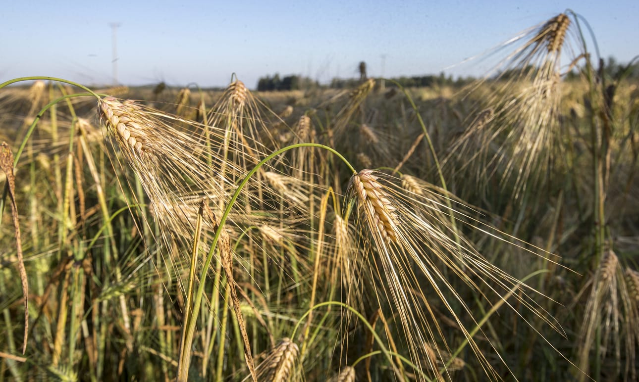 Nykyisin velkojen syynä on tuotannon kannattamattomuus.