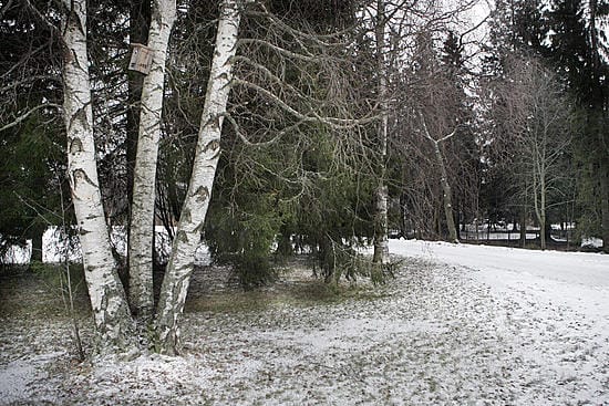 Herkimmin poliisille ilmoitetaan tuntemattoman tekijän tekemistä niin sanotuista puskaraiskauksista.