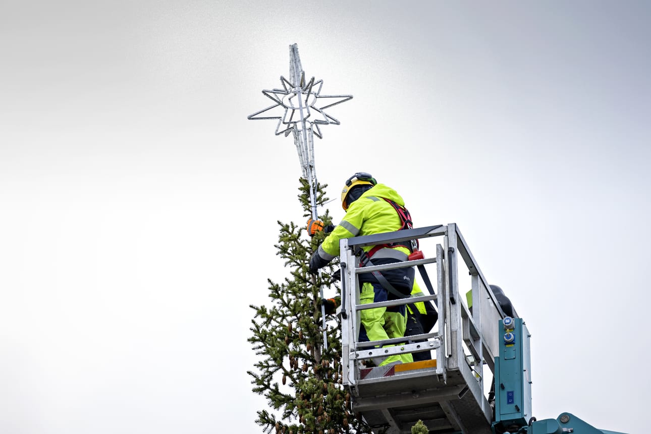Arto Finnilä ja Emil Hjärpe kiinnittivät tähden Vaasan torin joulukuusen latvaan keskiviikkona.
