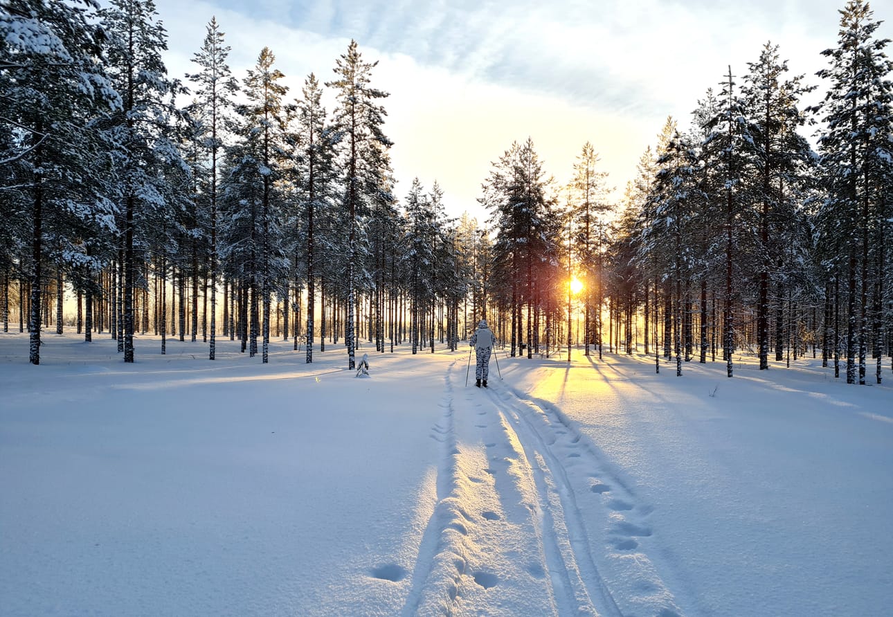 Kyllä kelpasi linnustaa Pyhännän Maaralan perukalla kauniissa talvisäässä.