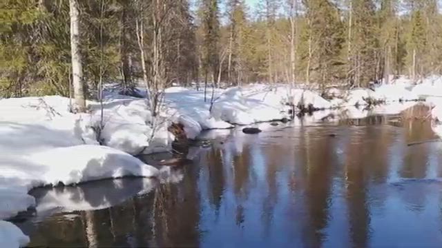 Kevättä Vääräjoella