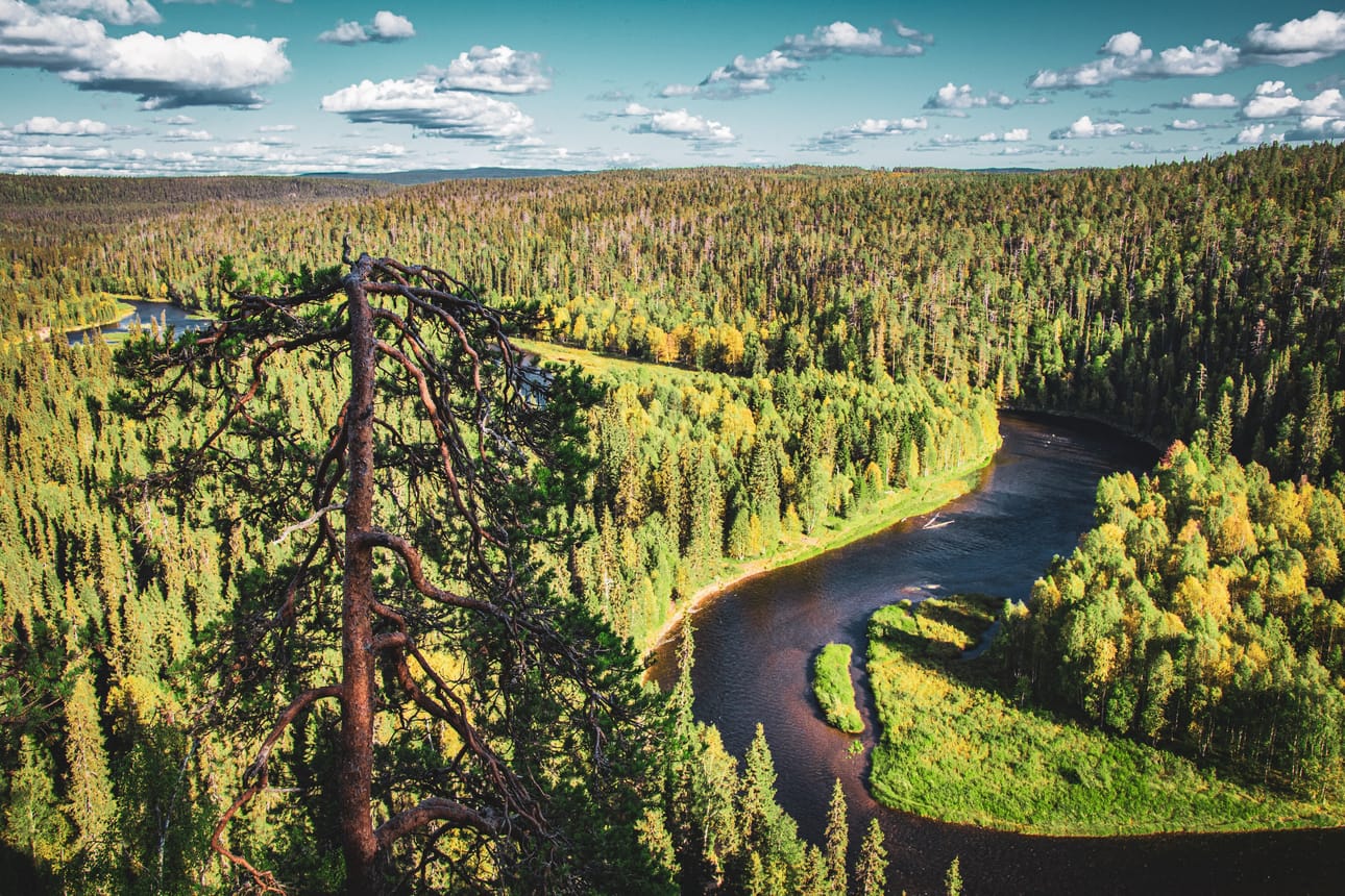 Auringonlasku- ja nousu sekä yöaika antavat suosituille maisemille, kuten kuvassa näkyvälle Oulankajoelle, erilaisia säväyksiä. Lisäksi poikkeavina vuorokaudenaikoina retkeillessä ei joudu ruuhkiin. Kuvituskuva.