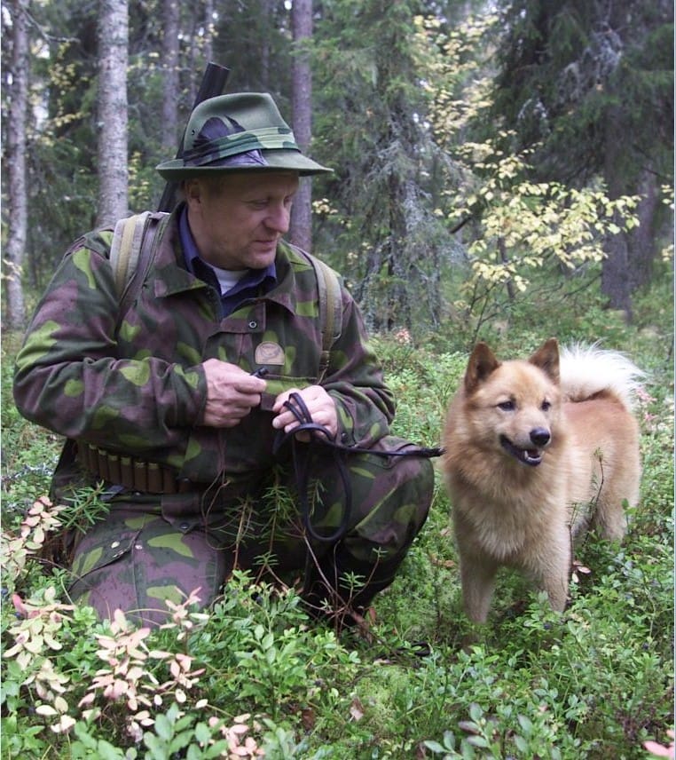 Suomenpystykorva on kulkenut suomalaisten mukana pitkään. Kuvassa suomenpystykorva Sami ja Tarmo Kyllönen lintujahdissa Kuusamossa.