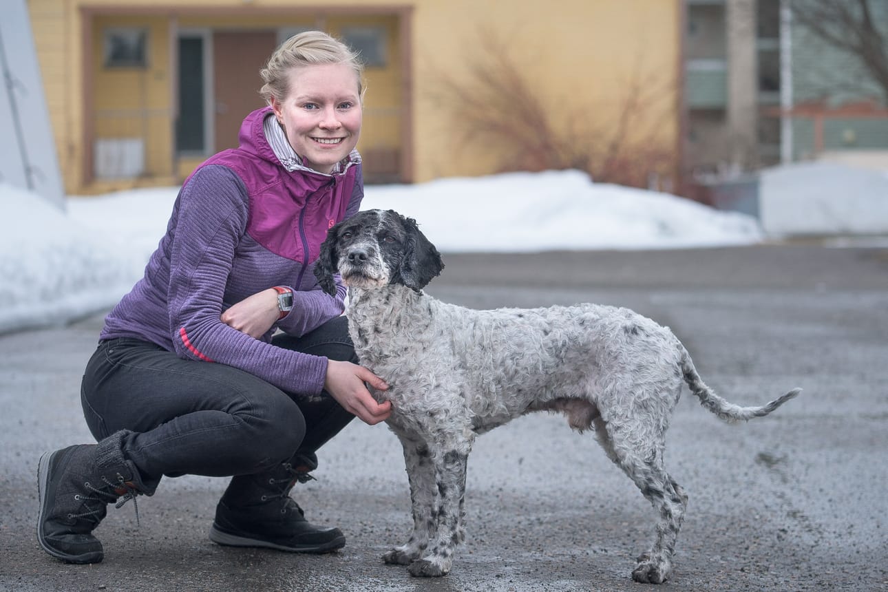 Zorro on espanjanvesikoiraksi vähän hankala tapaus, sanoo Tessa Kokkonen.