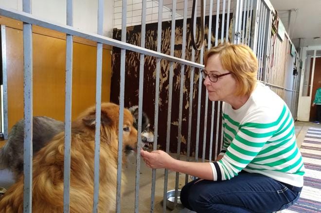 Sari Niemi sekä hoitolan vakioasiakkaat lapinkoirat Tatu ja Leevi. KUVAT: MIIANELLA HERRALA