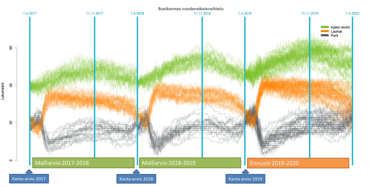 Luonnonvarakeskuksen takautuva arvio susien reviirien määrän vuodenaikaisvaihtelusta ja ennuste. Laumojen määräksi maaliskuussa 2020 ennustetaan 90 prosentin todennäköisyydellä 17–37 (mukana ovat rajalaumat).