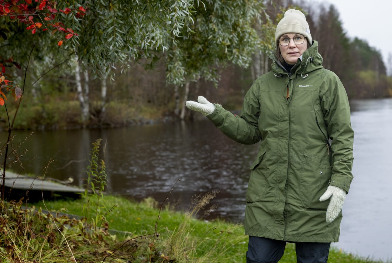 Markkuun ryhmäpuutarhayhdistyksen puheenjohtaja Niina Ailovuo näyttää suuntaa, mihin uusien lomamökkien rypäs on tulossa siirtolapuutarhamökkien lähelle.