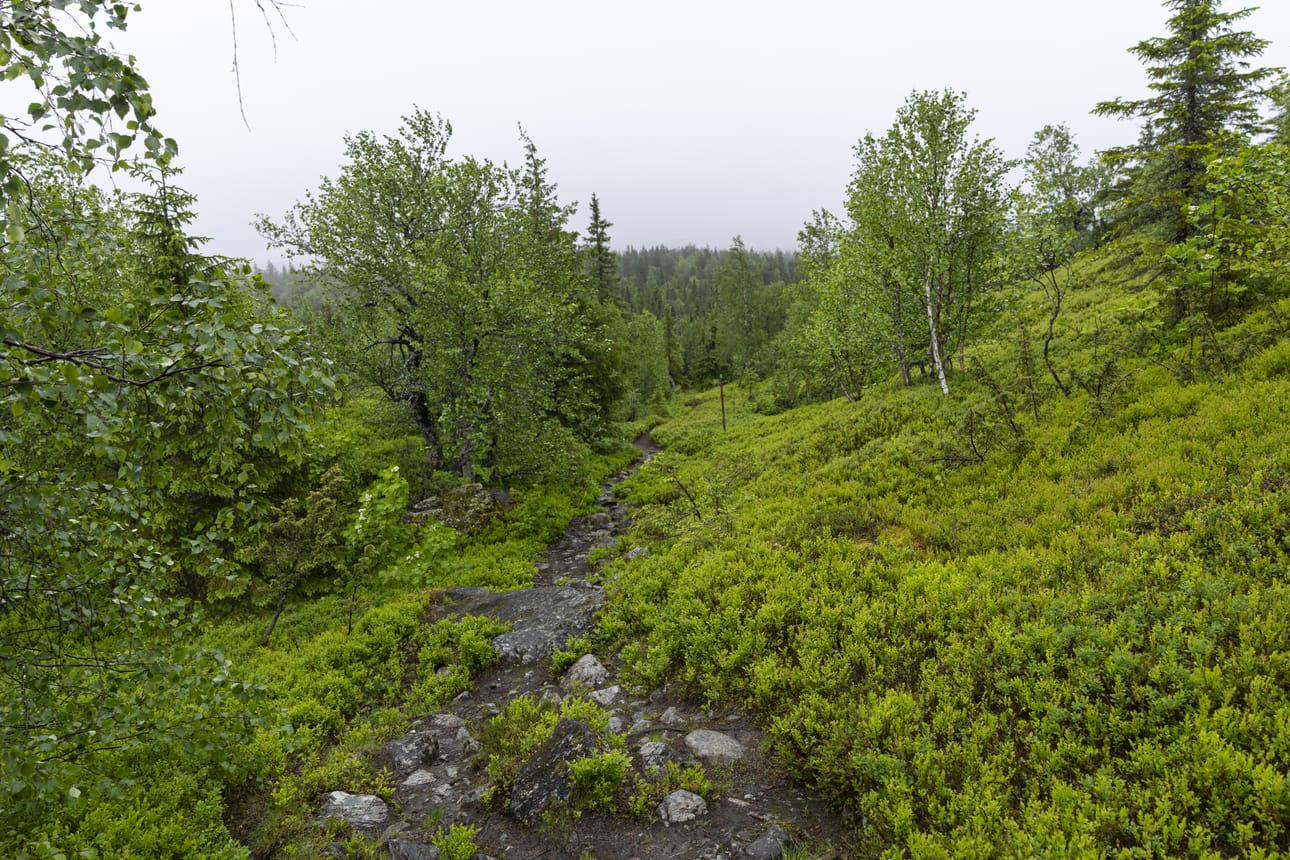 Kuulaana päivänä tunturin lakea lähestyttäessä pilvien sijaan horisontissa näkyisi muun muassa Iijärvi.