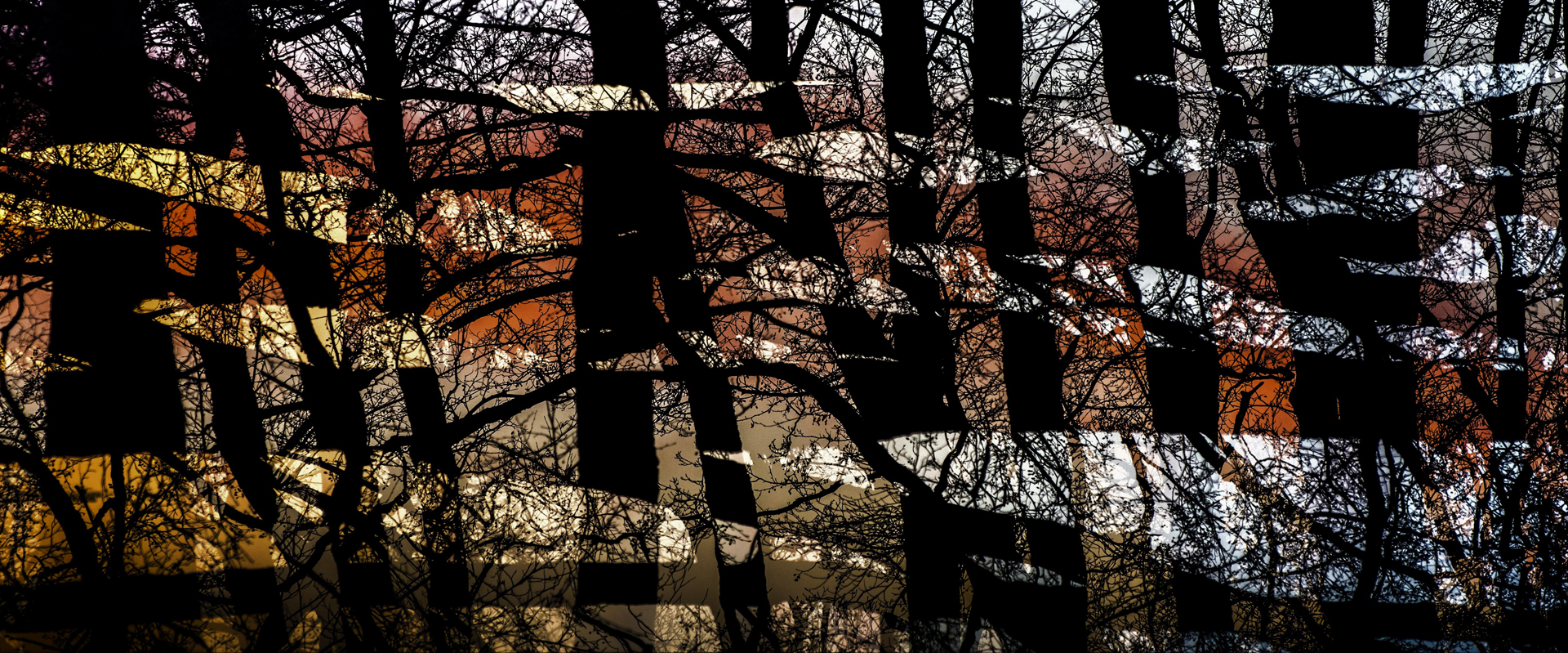 Vapaa ja luova: Timo Vesterinen, Kotka