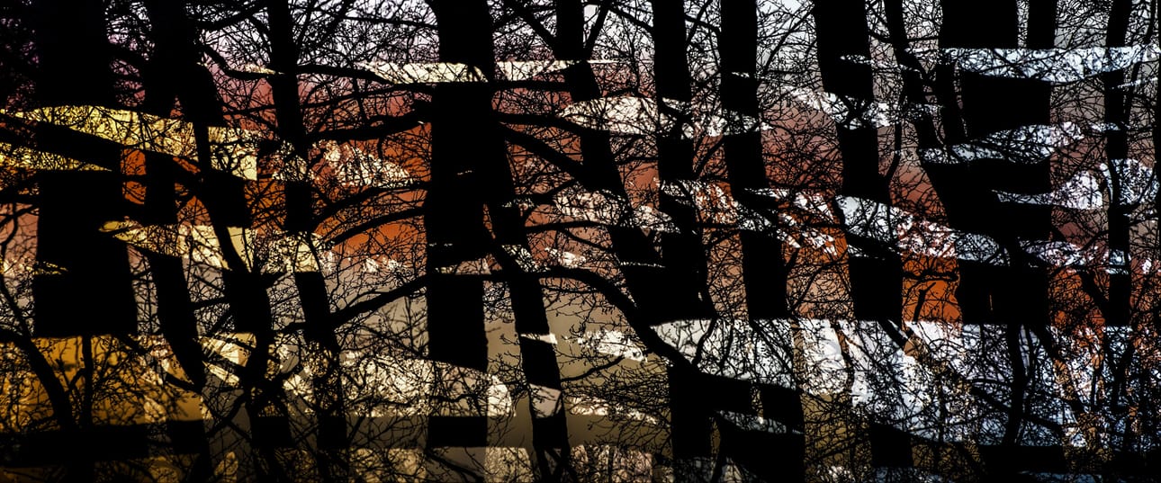 Vapaa ja luova: Timo Vesterinen, Kotka