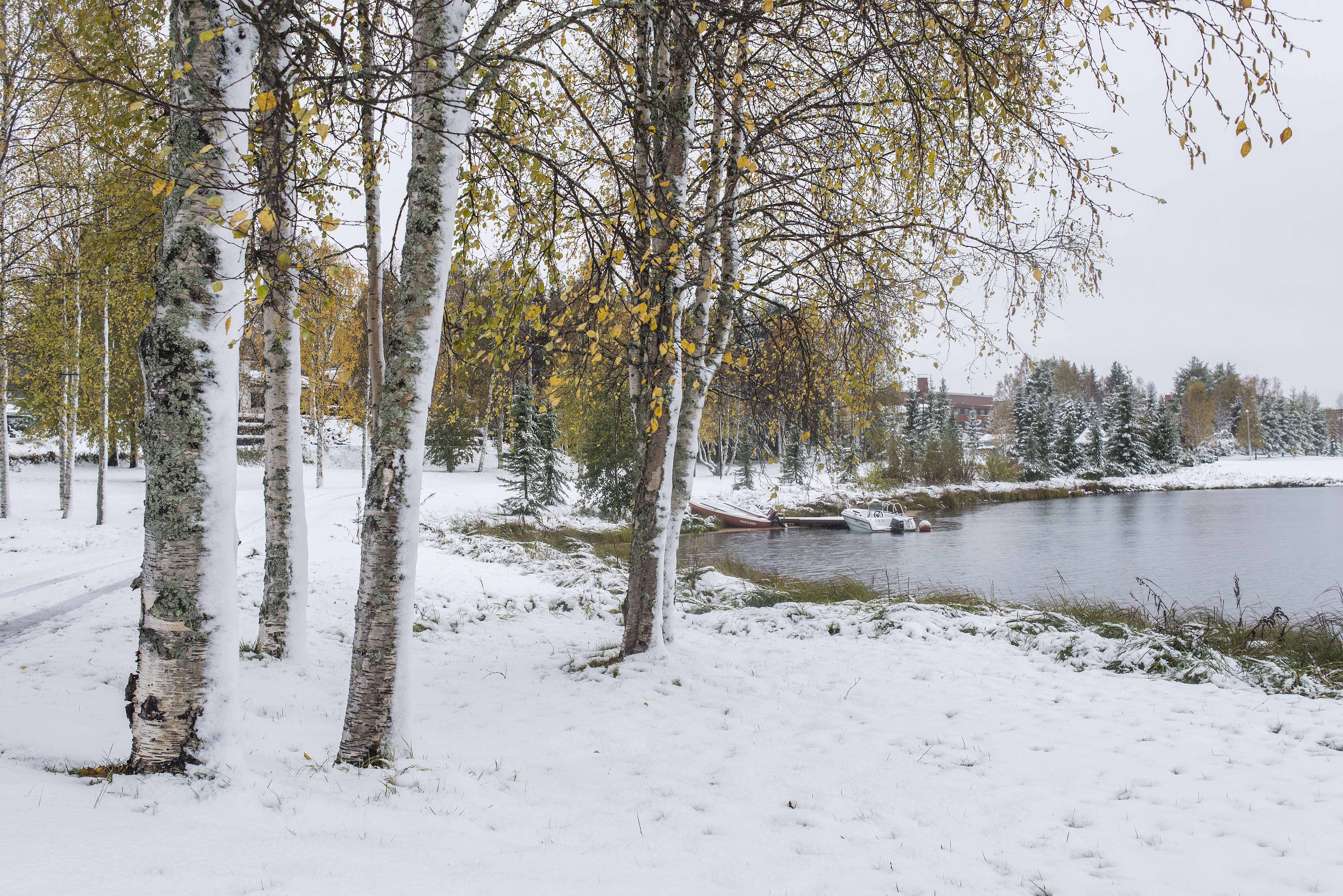 Sallassa satoi jo ensilumen – Koillismaalla vielä odotellaan