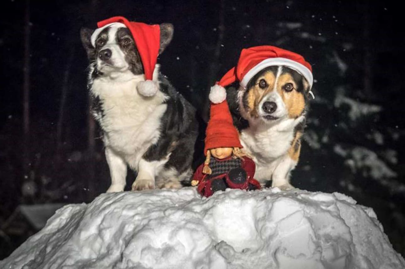 Hyvää Joulua kaikille täältä Korvatunturin laelta!
