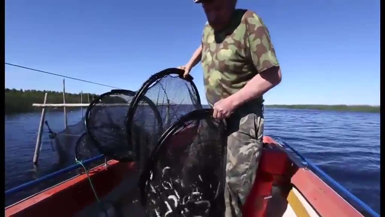 Jaakko Tuikkala