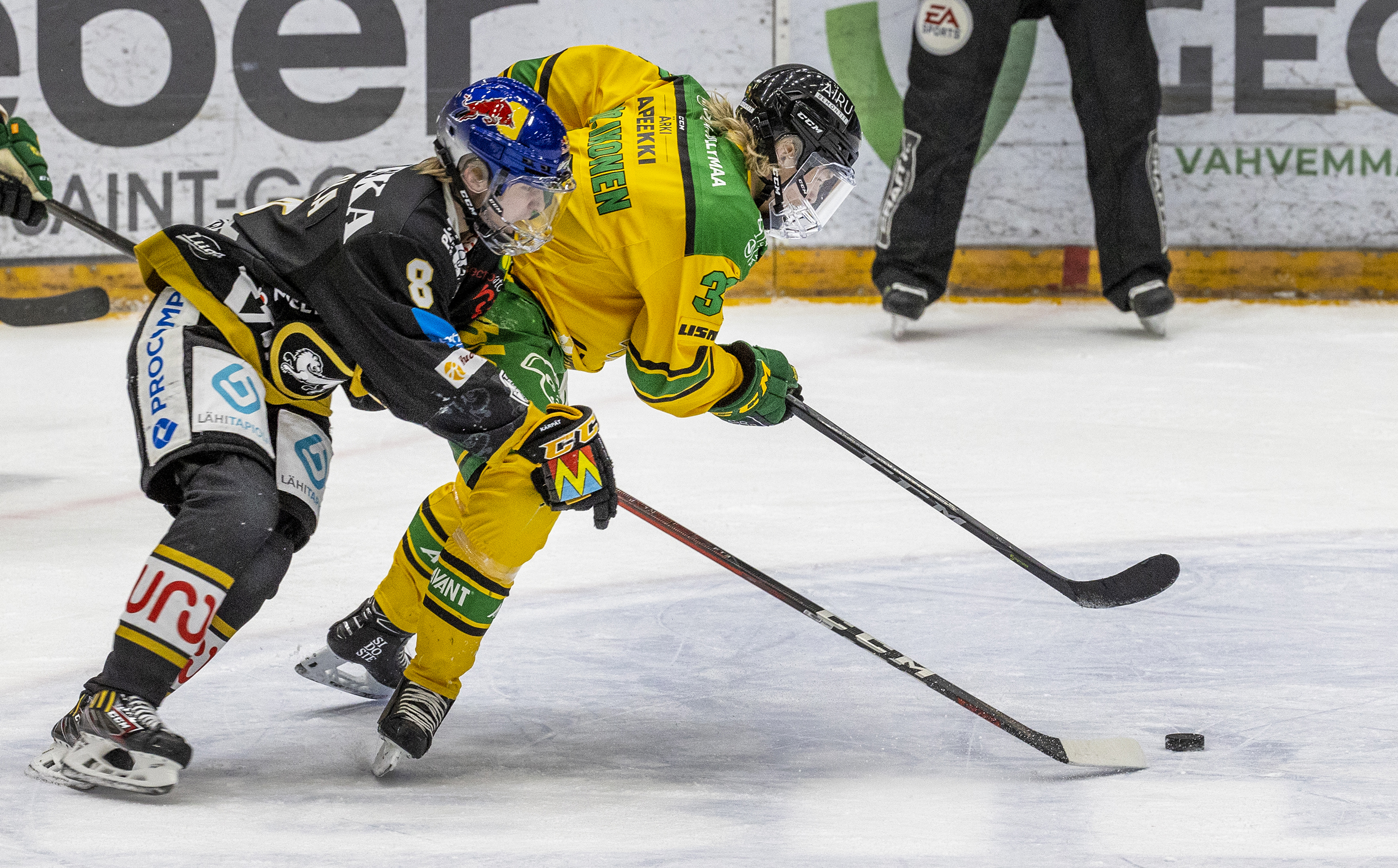 Maalikooste: Kärpät - Ilves