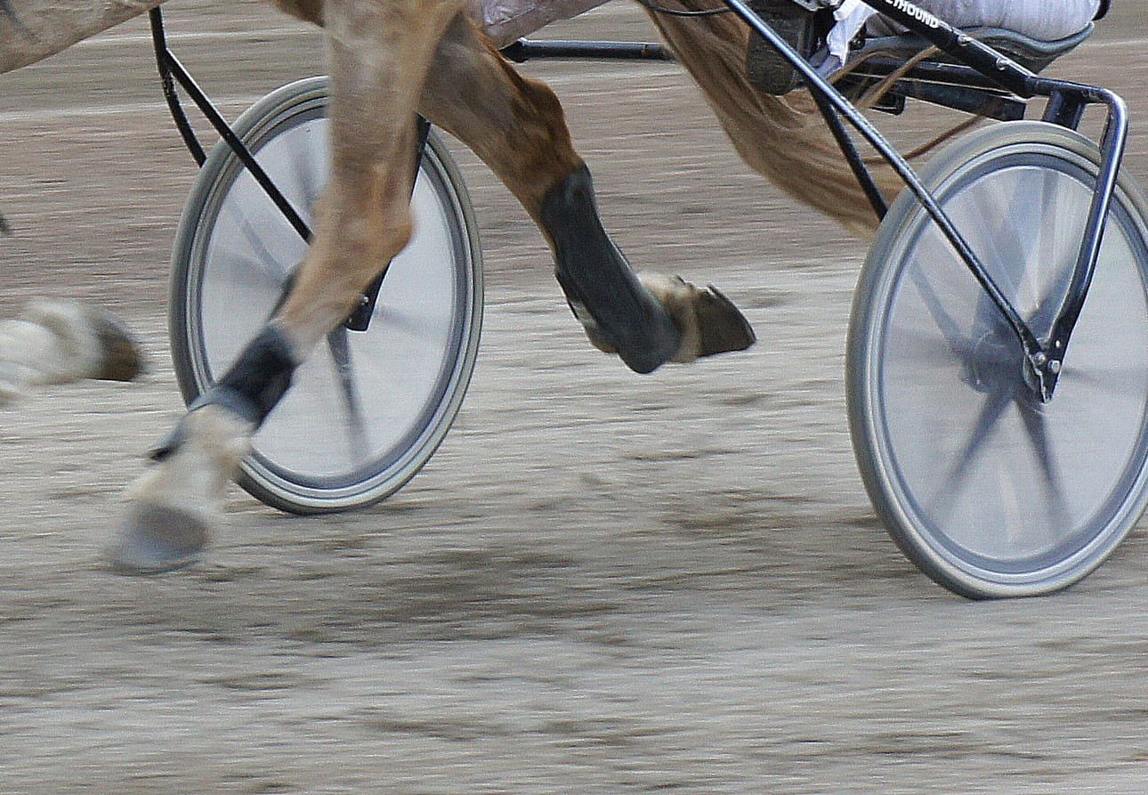 Haapavetisen Teuvo Mustanojan Aristokraatti ravasi uran avausvoiton Kauhavalla. Kuvituskuva.