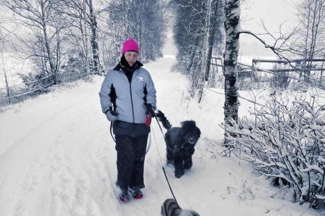 Karvialainen hevosyrittäjä Iina Puskala taivaltaa parhaillaan roppakaupalla kilometrejä parin kilometrin mittaisella reitillä kotikonnuillaan. Päivittäiset maratonit taittuvat juosten tai kävellen yhdessä Dalja- ja Jasu-koirien kanssa.