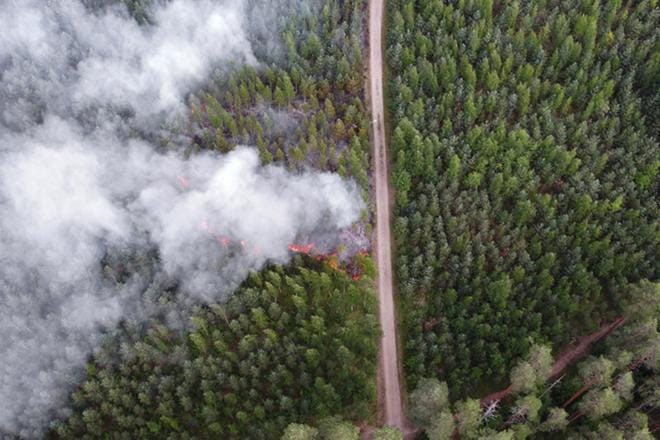 Kehitteillä oleva metsäpalokartta varmistaa, että kaikki mahdollinen sammutustöihin vaikuttava tieto on pelastuslaitosten sormenpäissä. Kuvituskuva Janakkalan metsäpalosta kesältä 2018 KUVA: Kanta-Hämeen pelastuslaitos