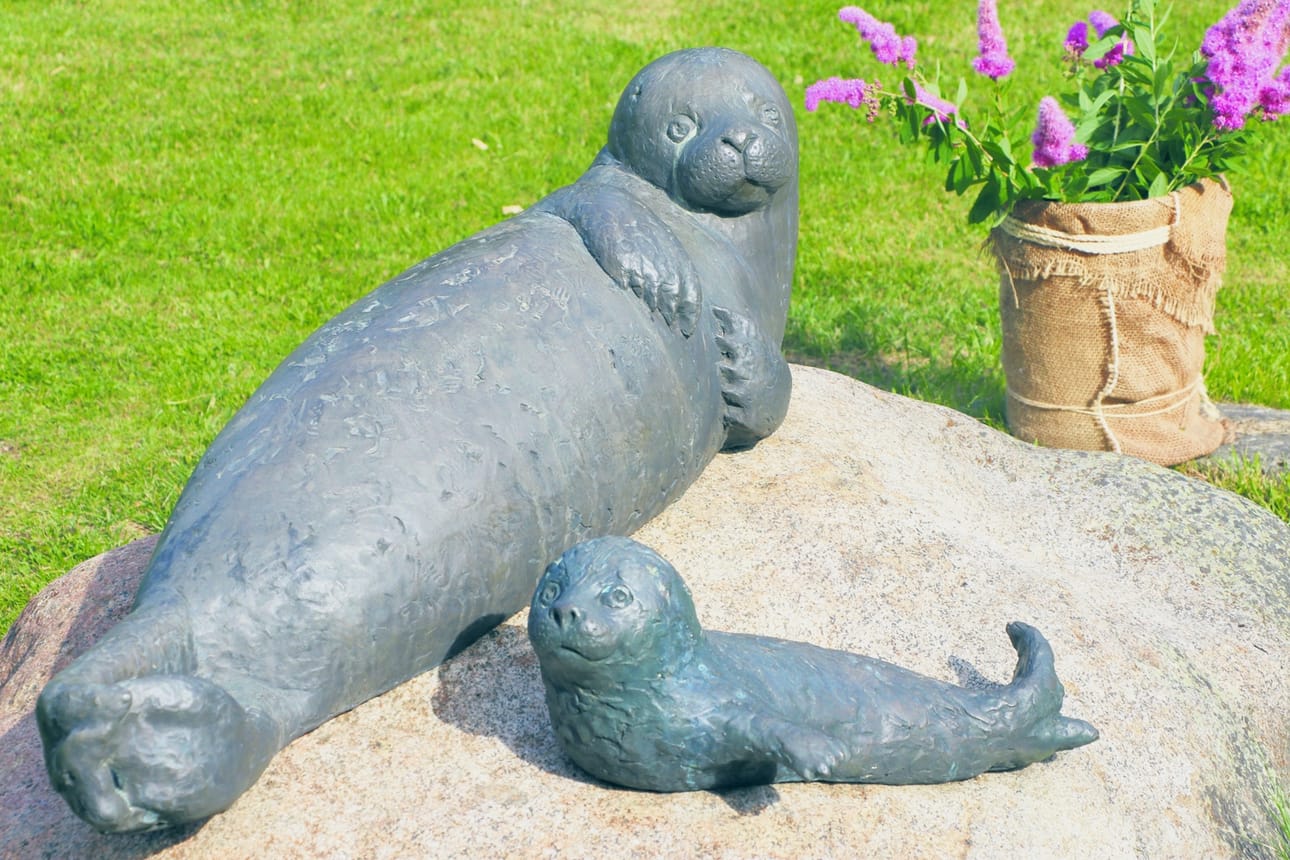 Leppoisasti makoileva hyljeperhe näkyy hyvin myös ohikulkevalle Kylänpuolentielle.