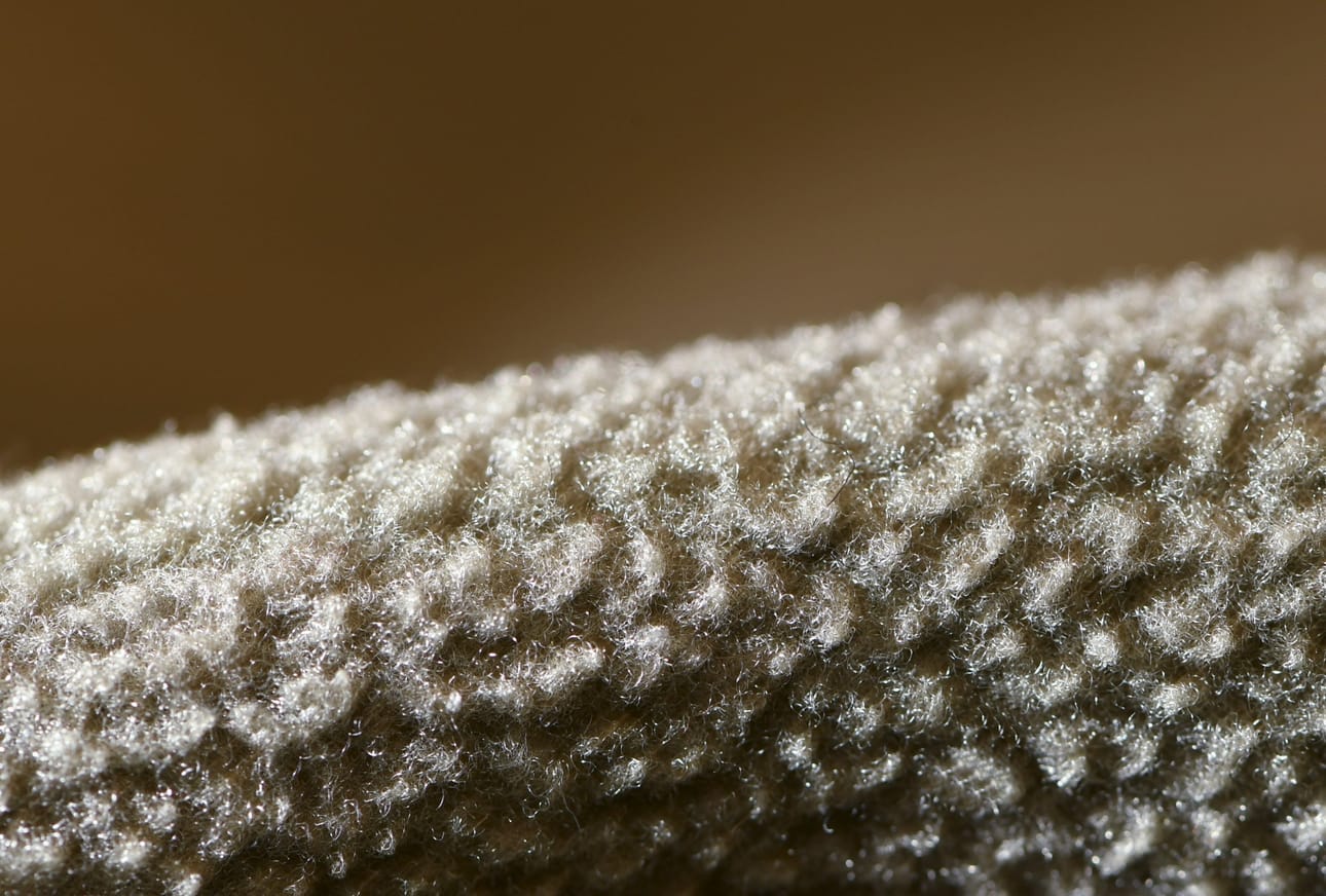 Kansainvälinen tutkimusryhmä on löytänyt mikromuoveja odotettua vanhemmista pohjakerrostumista. LEHTIKUVA / Martti Kainulainen