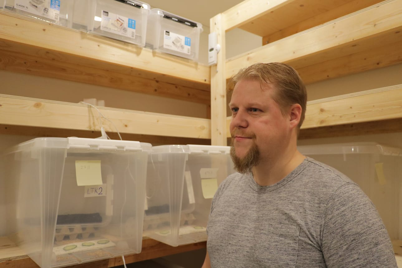 Oulaistelainen Antti Kämäräinen aikoo maistaa elämänsä ensimmäisen sirkan sitten, kun omasta kasvattamosta kehittynyt yksilö on täysikasvuinen. Kämäräinen on aloittamassa kotisirkkojen kasvatusta yrittäjänä. Varastoon rakennetussa sirkkojen kasvattamossa on kehittynyt jo ensimmäisiä munia ja uusia yksilöitä.