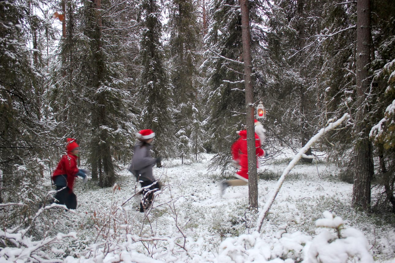 Tontut suunnittelevat ja valmistelevat jo kiireellä Metsän Joulu -tapahtumaa.