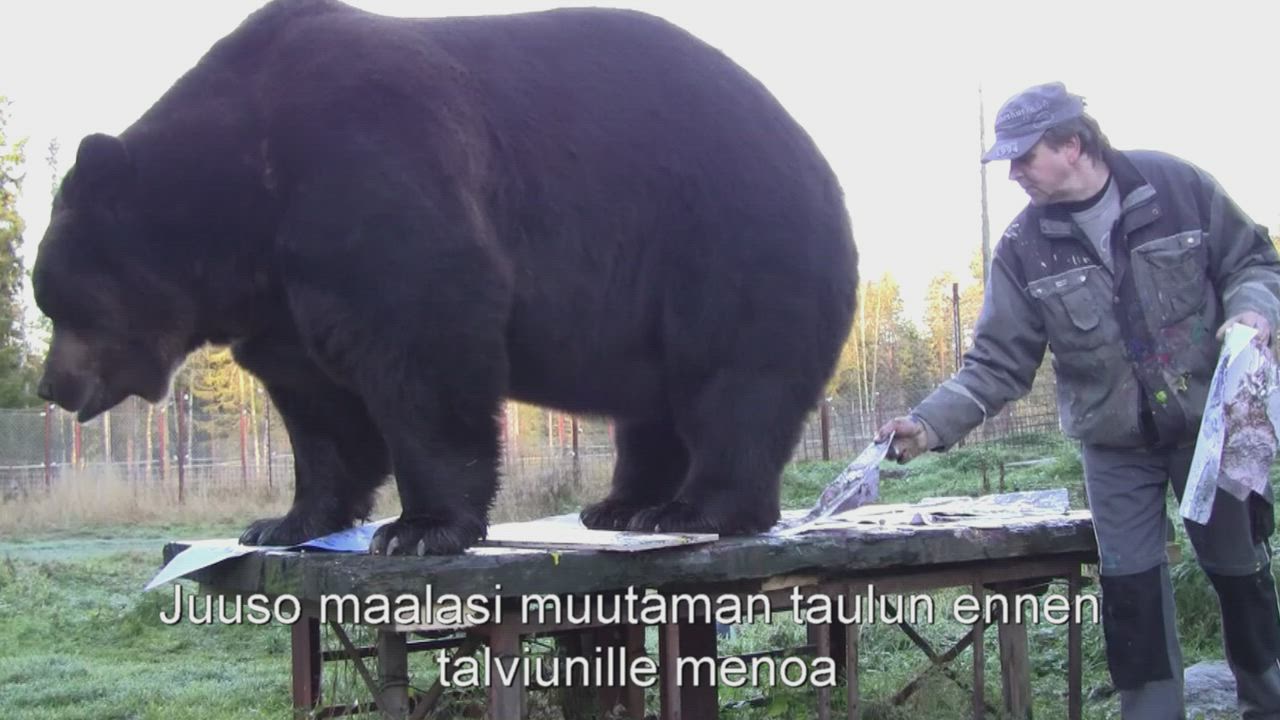 Juuso-karhun taiteilut esillä Kempeleessä