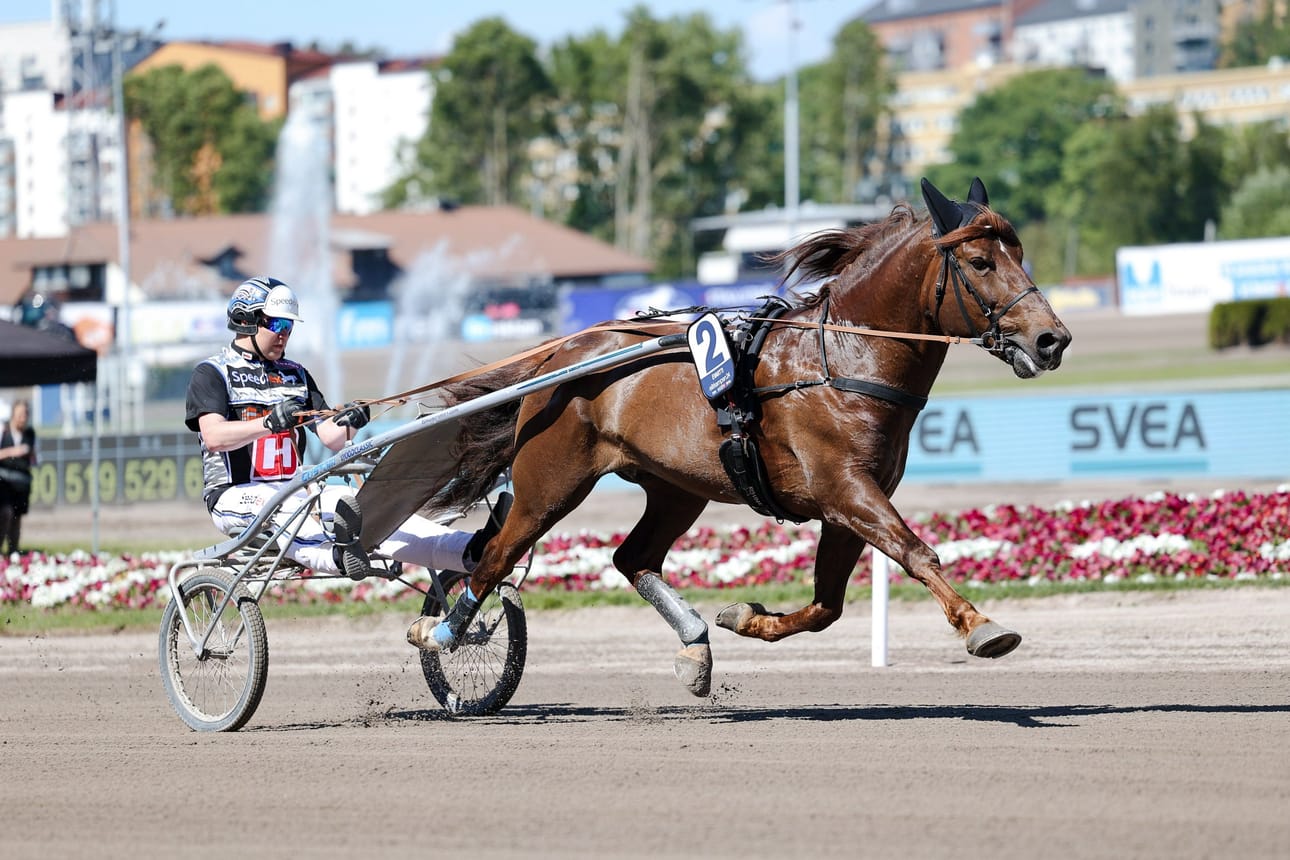 Antti Ojanperä ja Evartti Elitloppet-raveissa Ruotsin Solvallassa toukokuun lopussa. LEHTIKUVA/handout/MAISA HYTTINEN