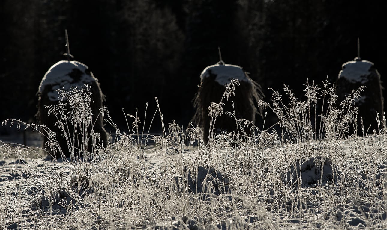 Koillismaalla mitattiin keskiviikkona aamulla 2.3 pakkasastetta Siekkisen sääasemalla Taivalkoskella.