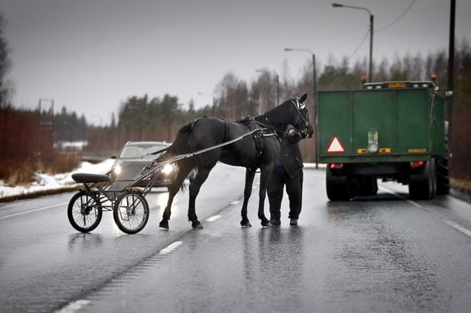 Useat ihmiset tekivät ilman ohjastajaa seikkailleesta hevosesta ilmoituksen hätäkeskukseen. KUVA: TOMI KOSONEN