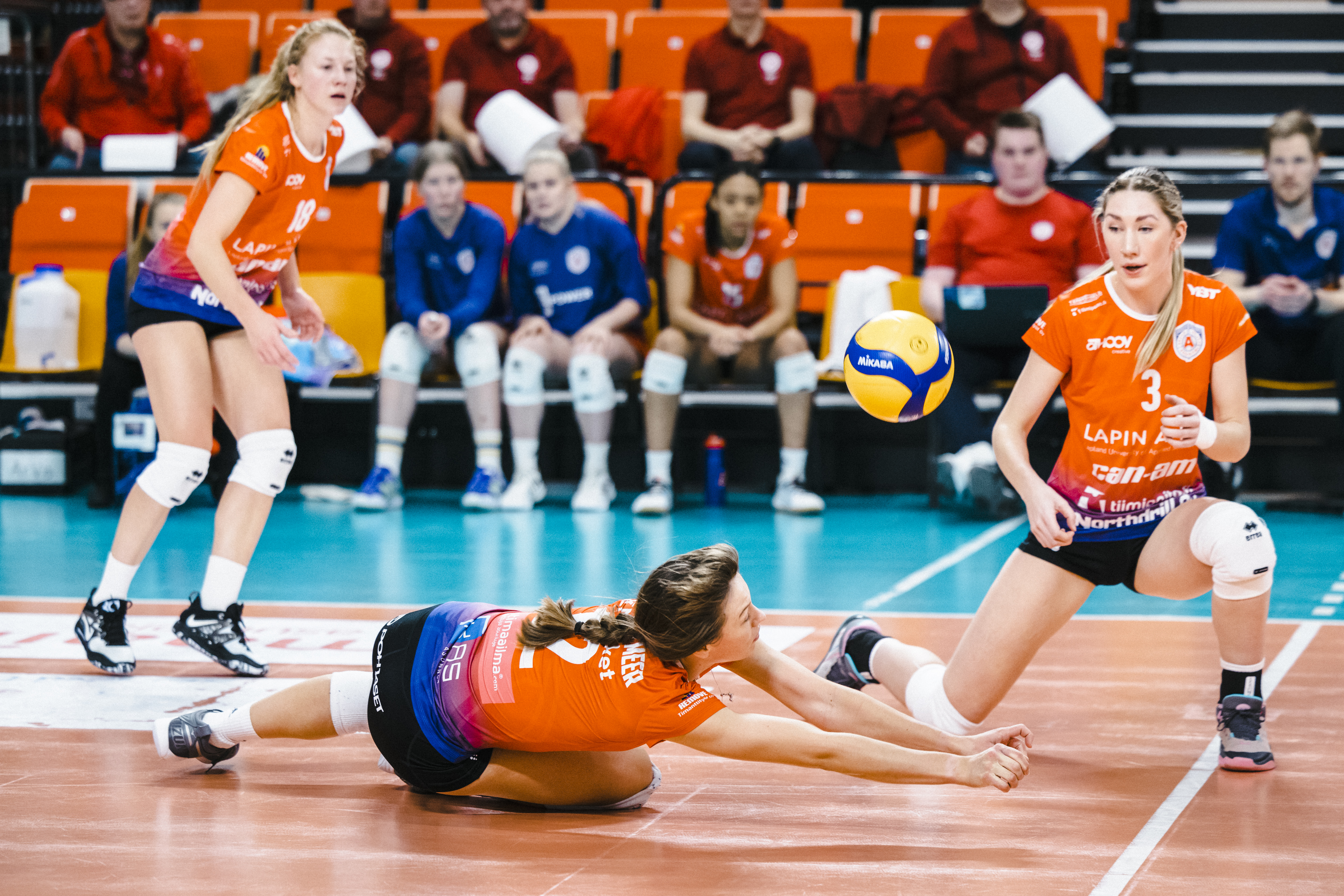 Oma koira puraisi Arctic Volleyta – rovaniemeläislähtöinen Neea-Maria ...