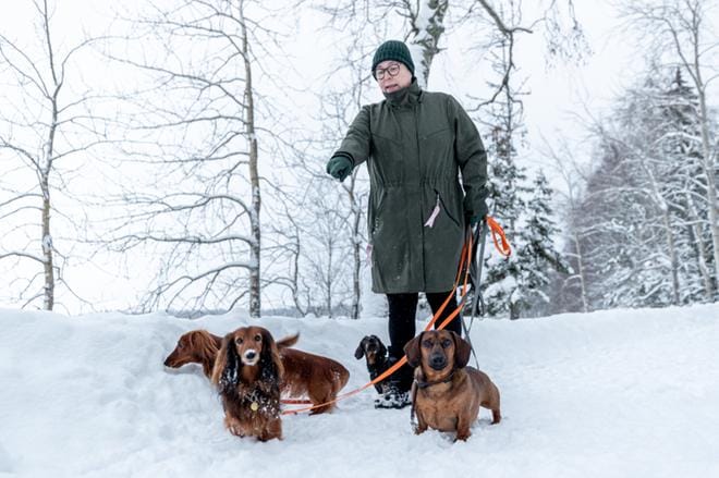 Susa Sulkakoski kulkee mäyräkoiriensa kanssa usein rantareittiä pitkin. – Kerran päivässä kierrämme pidemmän lenkin täällä. Onhan se mahtavaa, kun melkein keskellä kaupunkia on tällainen paikka: metsää, maastoa, merta, hän ihastelee. Kuvat: Elena Mikkilä