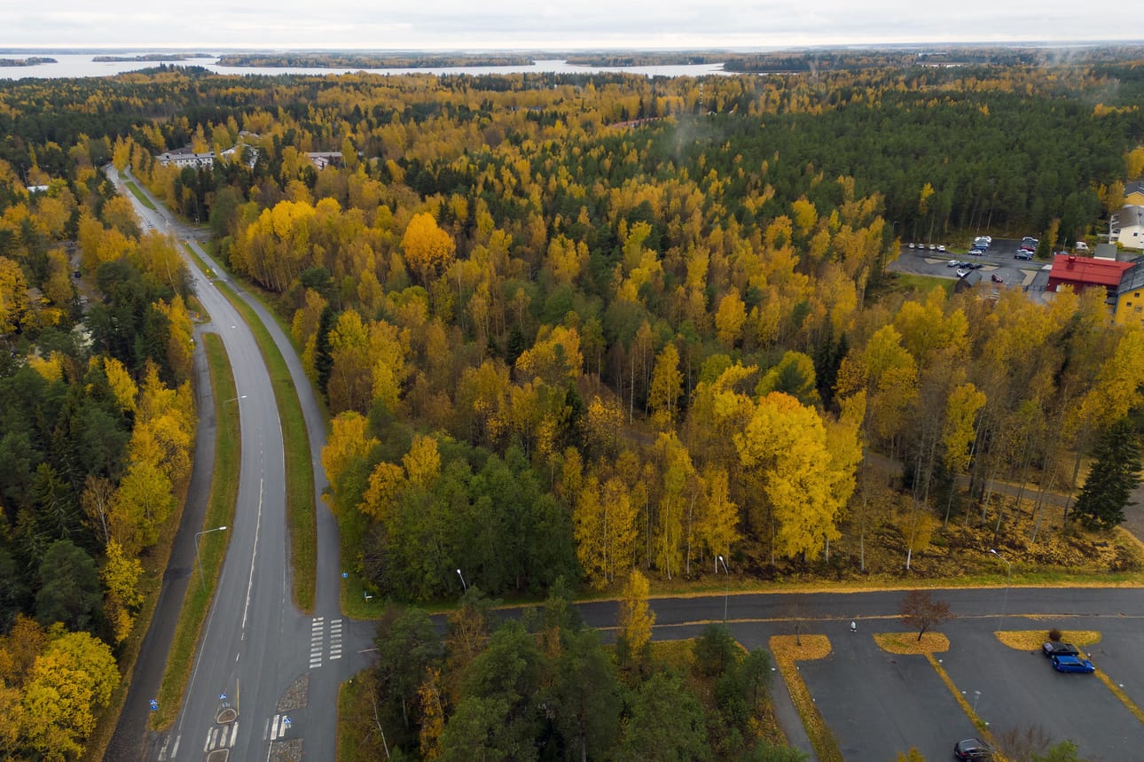 Gerbyn keskuspuiston alue on valtakunnallisestikin huomattavan suuri virkistysalue. Vaasan kaupunki aikoo nyt leikata osan metsästä asuntorakentamiselle.