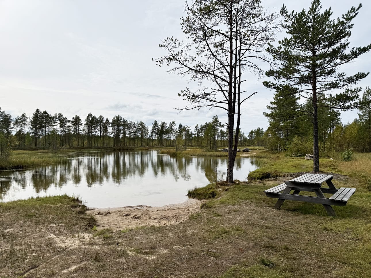 Pikkulan uimapaikka sijaitsee Mankilassa, Saarikosken ja Temmeksen rajalla. Arkistokuva.
