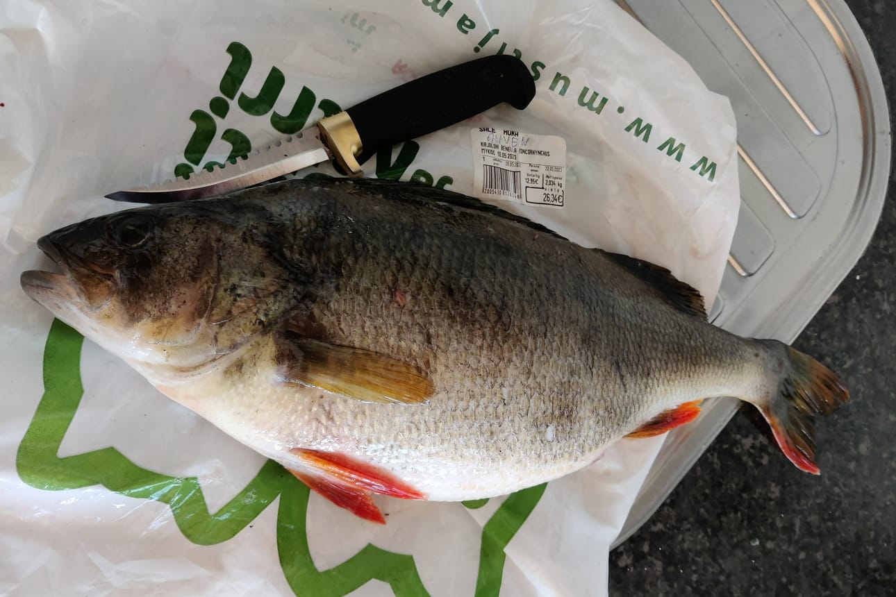 Risto Pasasen Yli-Kitkan lahdesta verkottama kutuahvennaaras painoi 2,034 kiloa. Kalassa oli vielä mäti sisässä. Kudun myötä kala olisi siis keventynyt mädin verran eli satoja grammoja.