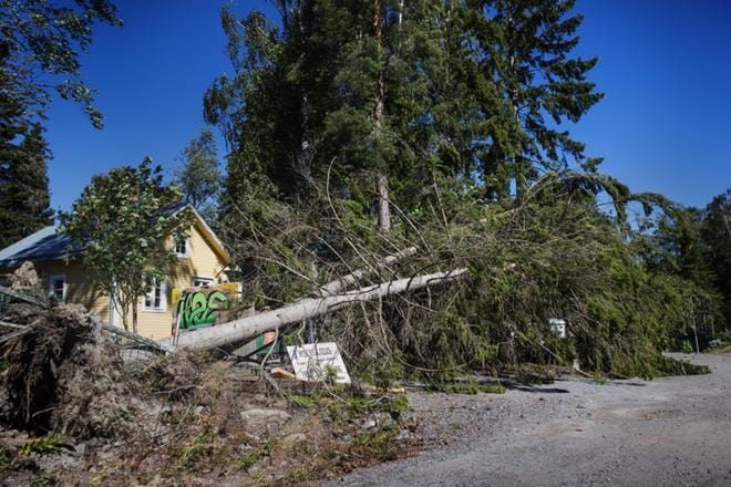 Kaksi puuta oli kaatunut roskakatoksen ja postilaatikoiden päälle nuorisotalo Villa Gerbyn edustalla. KUVA: OUTI NEUVONEN