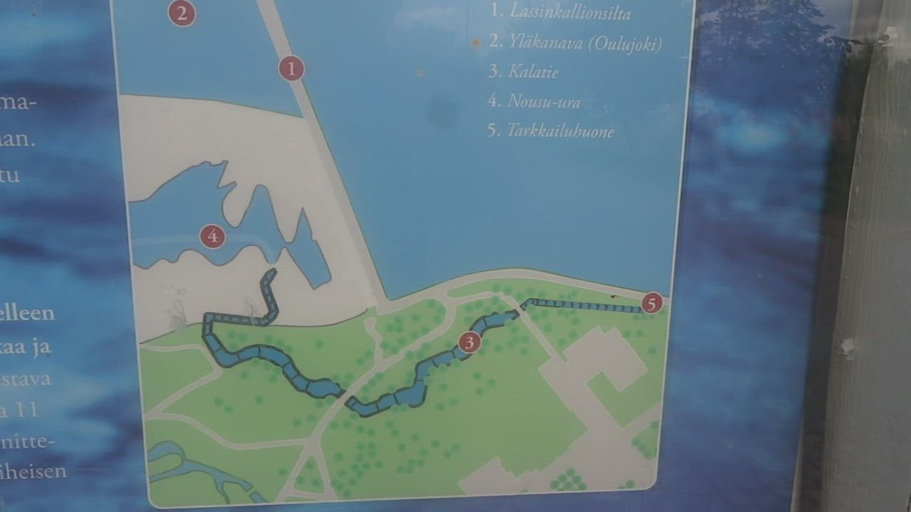 Video Hupisaarten kalatieltä: Tarkkailuhuoneesta näkyy lohikaloja