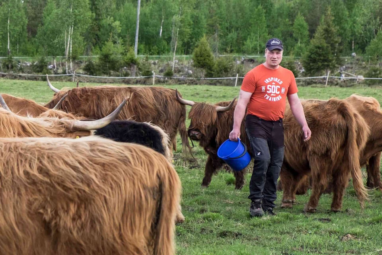 Erottuminen. Kun hinnalla ei voi kilpailla teollista tuotantoa vastaan, pitää pientuottajan erottua muilla tavoin. Esa Teerijoen mukaan sellaisia asioita ovat muun muassaa vapaasti vuoden ympäri liikkuvat eläimet, maku ja paikallisuus.
