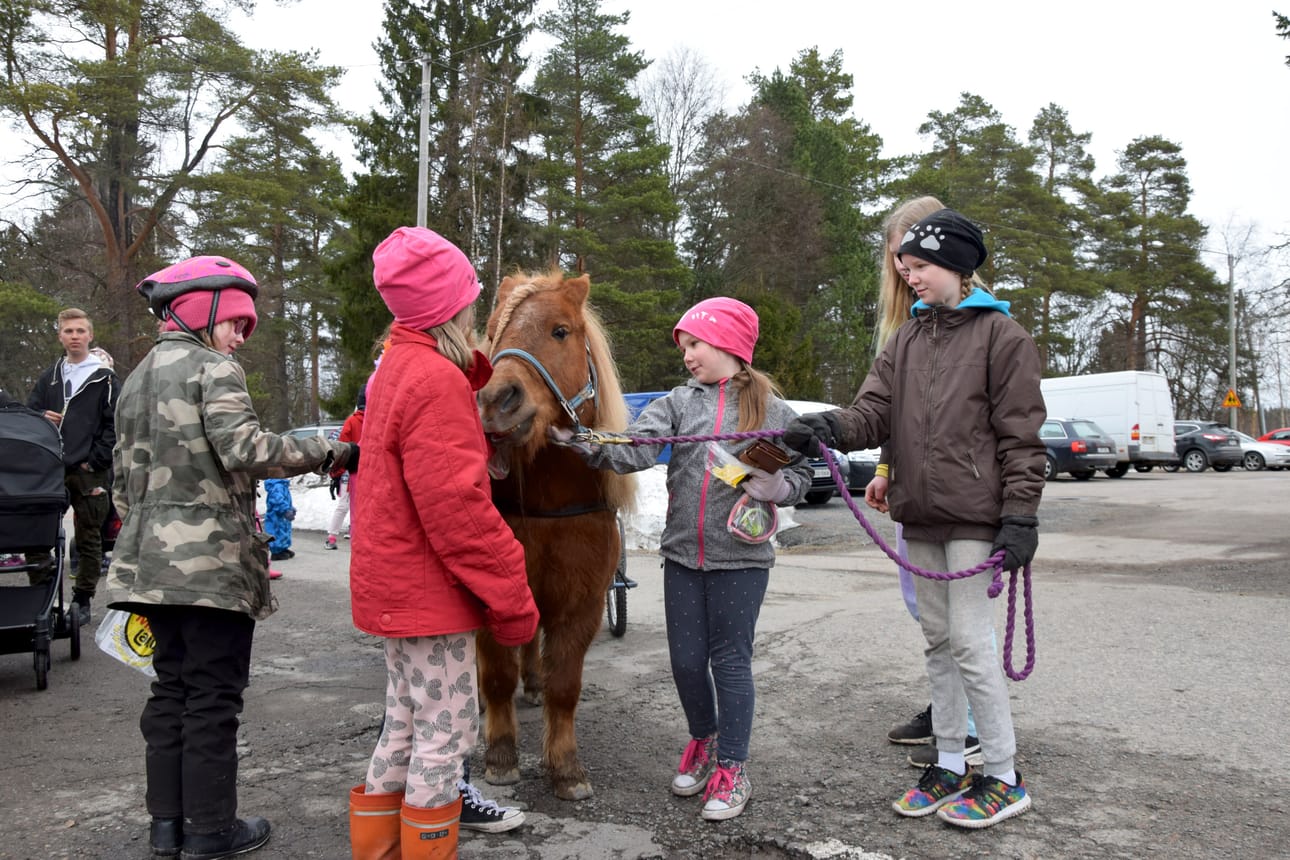 Rauhallisesti esiintynyt Zorro-poni oli lasten suosiossa.