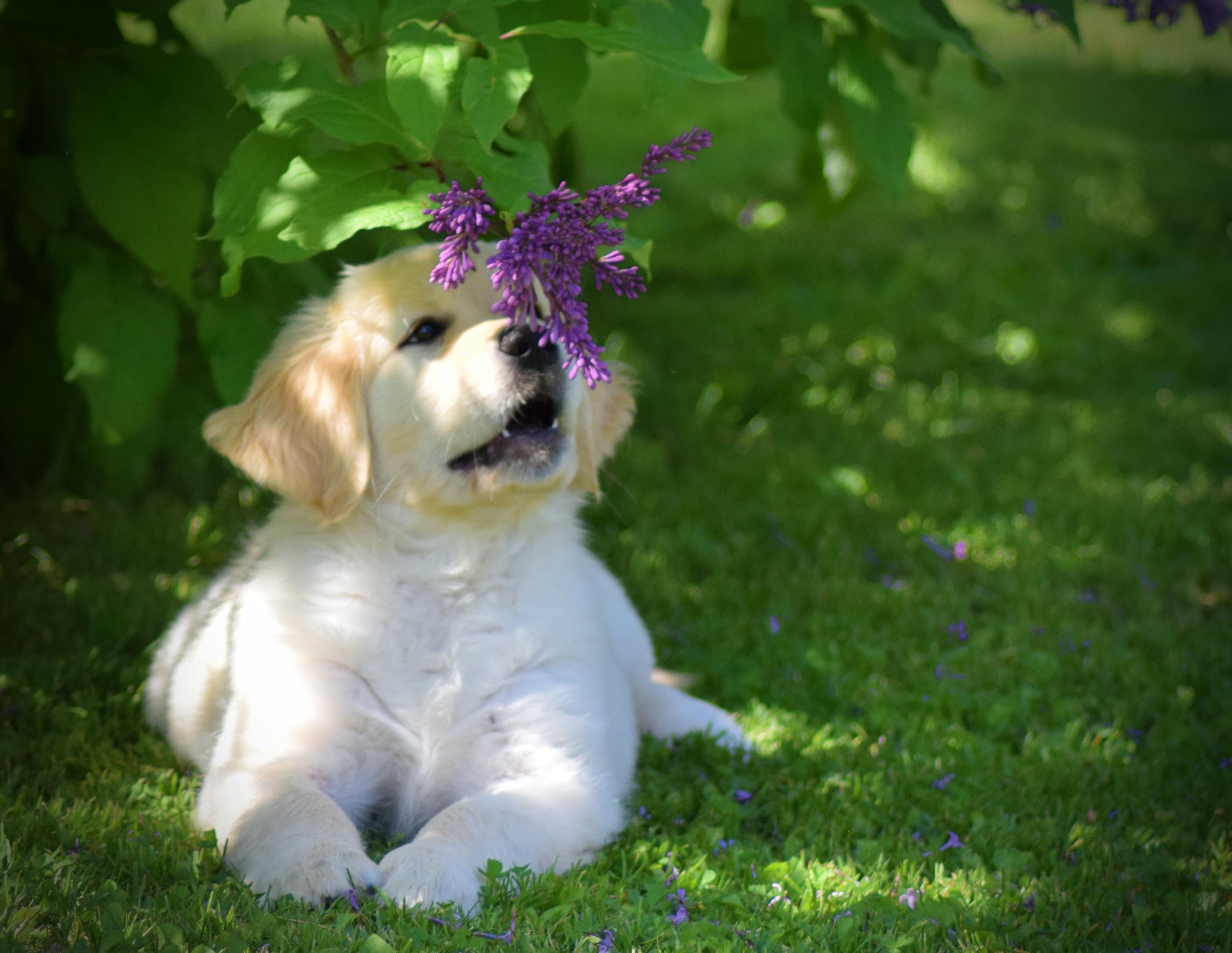 Iijokiseudun lukijan kuvat