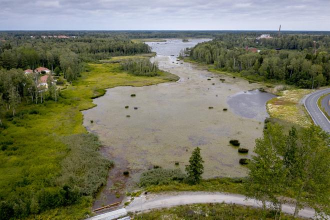 Vaasan kaupunki haluaa Pukinjärveen suunniteltua paremman puhdistuksen – Järvelä: ”Kyse on vastuunkannosta”