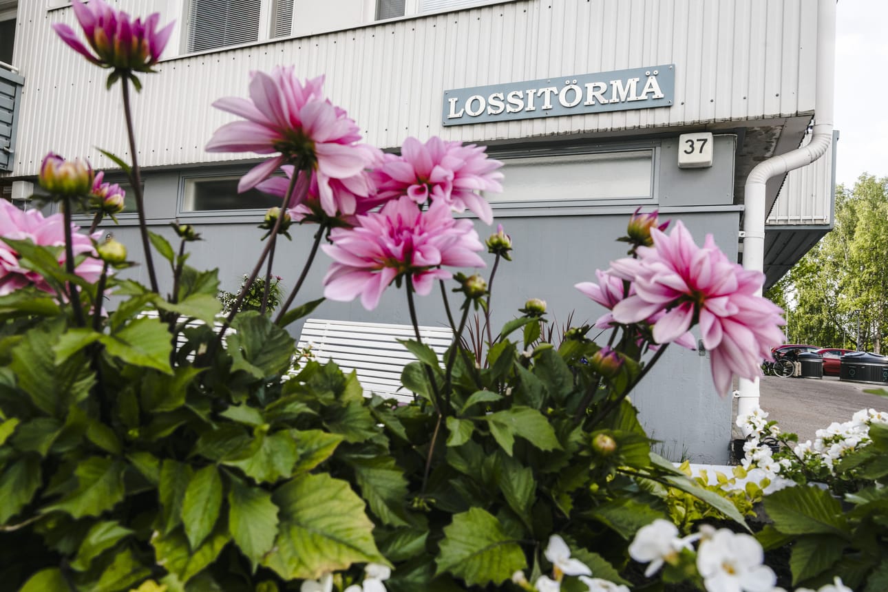 Rovaniemeläinen asunto-osakeyhtiö Lossitörmä Valtakadulla on ollut julkisuudessa lyhytvuokraukseen liittyen.