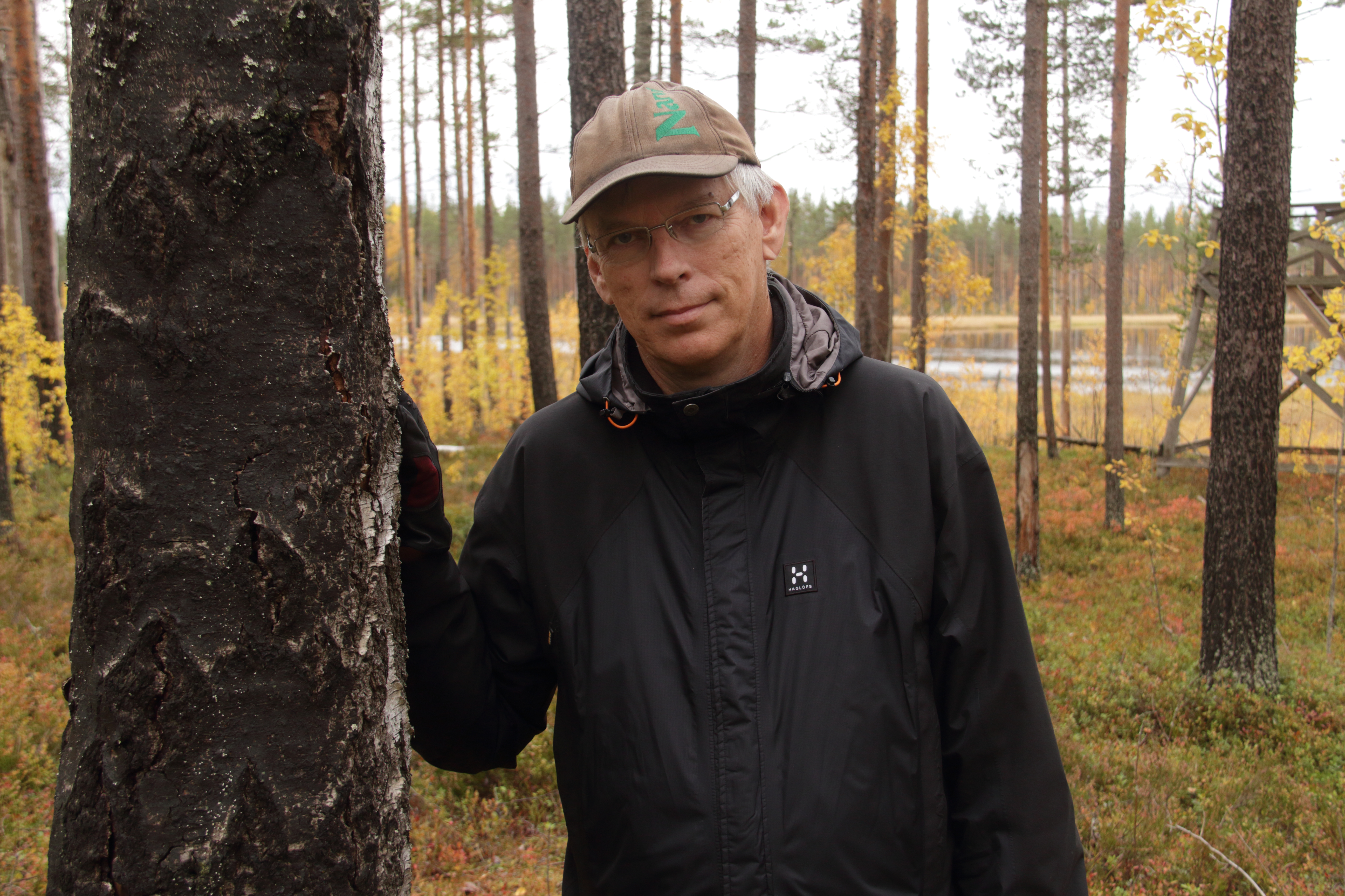 Isojärven luontopolun varressa oli metsäpalo 10.6.2004. Puissa on edelleen näkyvissä palon jäljet.