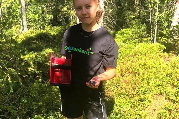 Sini Sammalisto tietää Lehtimäellä monia hyviä mustikkapaikkoja. KUVA: KATJA SAMMALISTO