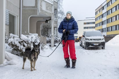 Rovaniemeläinen Sanna Hast lähtee koiransa kanssa mökille pakoon uuden vuoden raketteja – "Tarpeetonta kärsimystä eläimille"