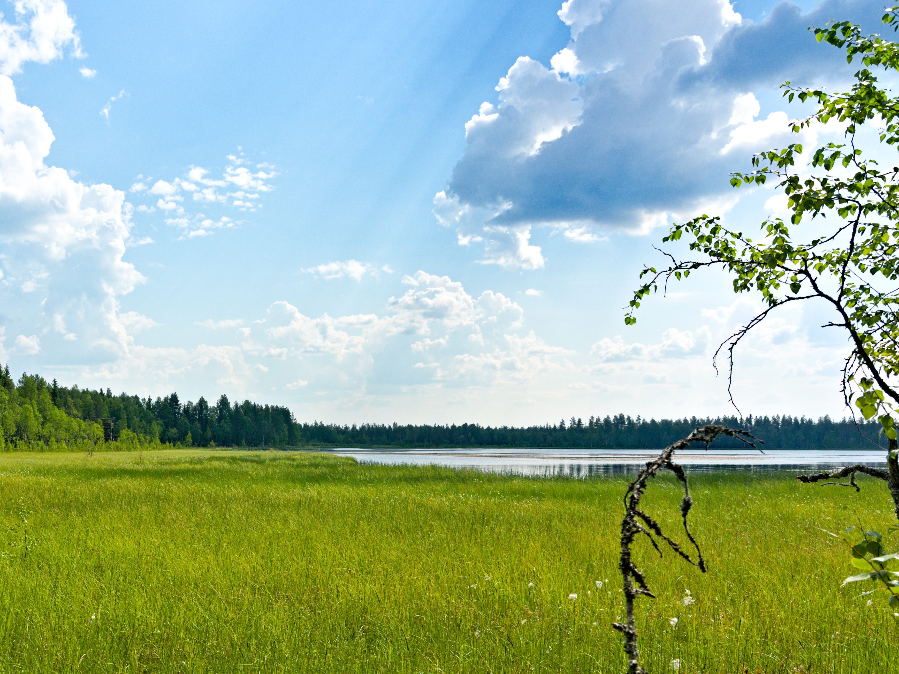 Juutislammen luontopolku, Pudasjärvi.