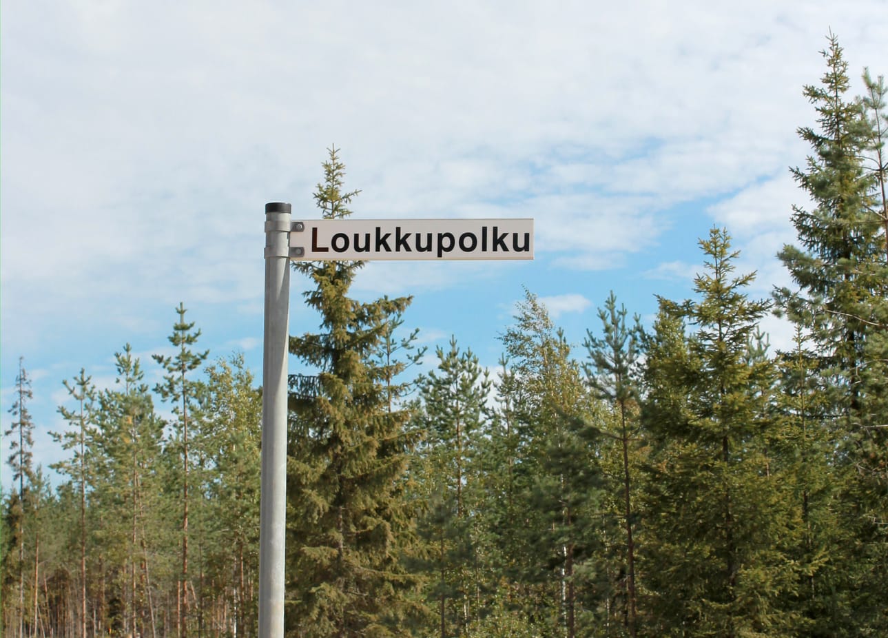 Metsärinteellä nautitaan lähitilan tuottamasta kaukolämmöstä.