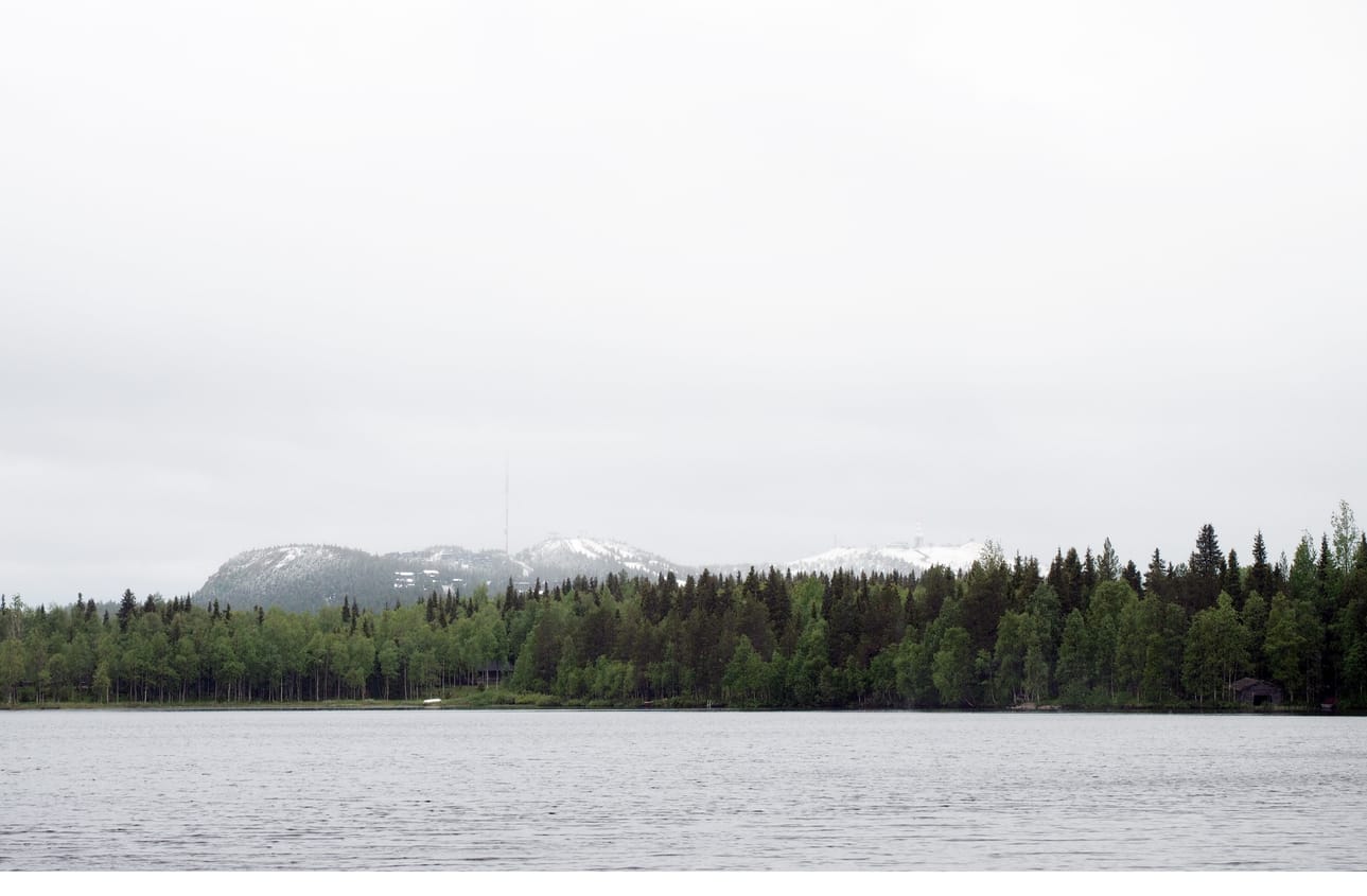 Rukatunturi on jälleen valkoisena.
